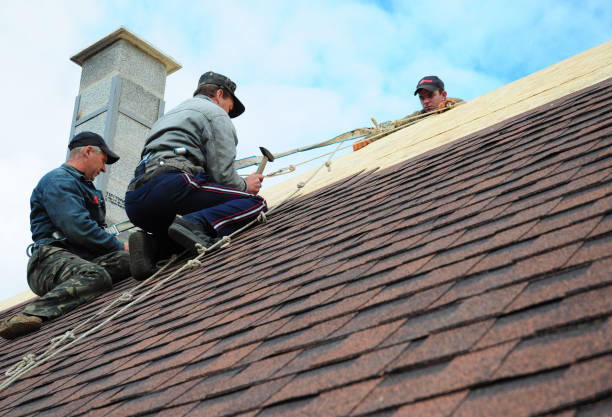 Professional Roofing Contractor in Pleasant Ridge, MI