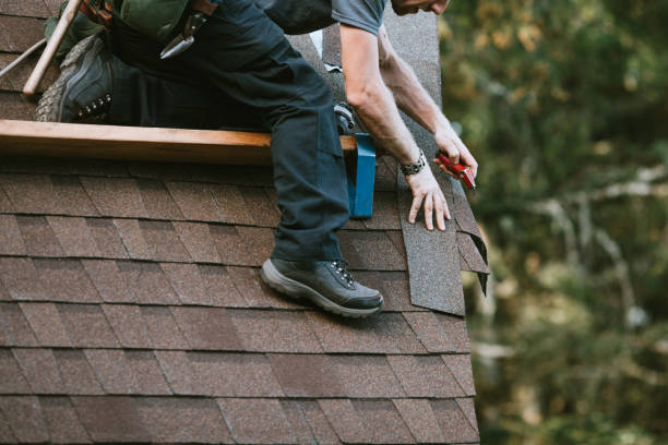 Best Roof Leak Repair  in Pleasant Ridge, MI